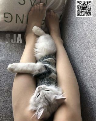 a網站在線_BD超清免費觀看